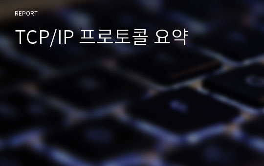 TCP/IP 프로토콜 요약