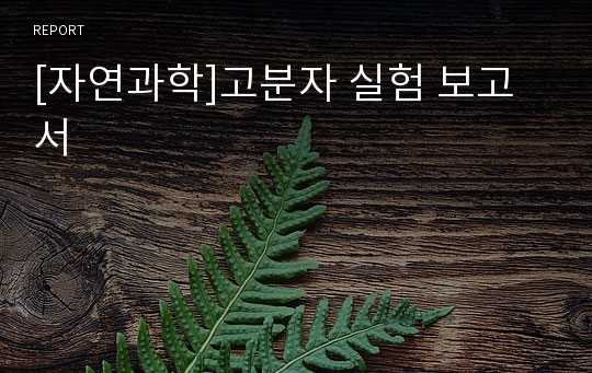 [자연과학]고분자 실험 보고서