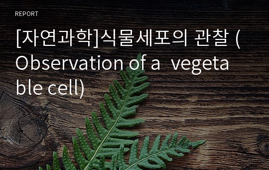 [자연과학]식물세포의 관찰 (Observation of a  vegetable cell)