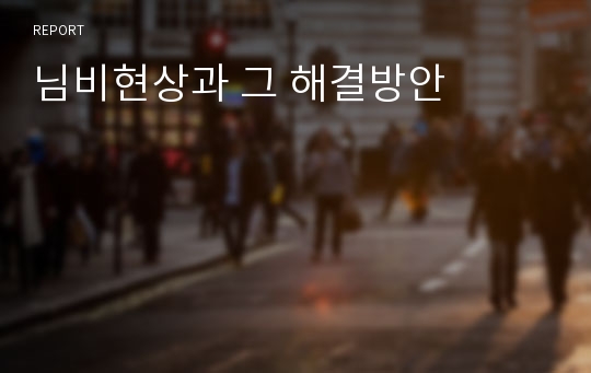 님비현상과 그 해결방안