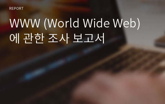 WWW (World Wide Web)에 관한 조사 보고서