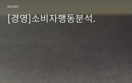 [경영]소비자행동분석.