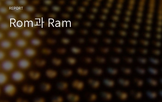 Rom과 Ram