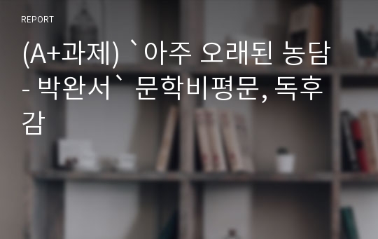 (A+과제) `아주 오래된 농담 - 박완서` 문학비평문, 독후감