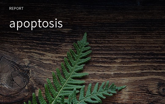 apoptosis