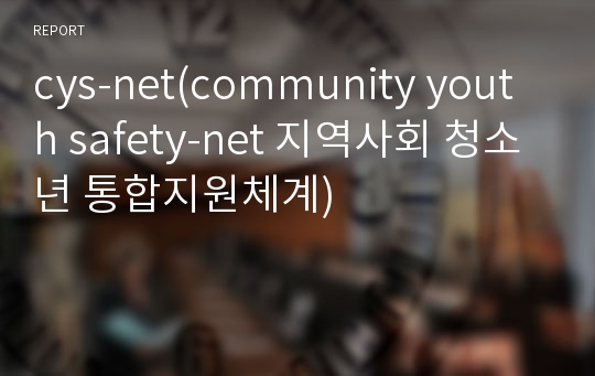 cys-net(community youth safety-net 지역사회 청소년 통합지원체계)