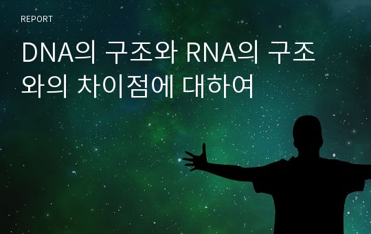 DNA의 구조와 RNA의 구조와의 차이점에 대하여