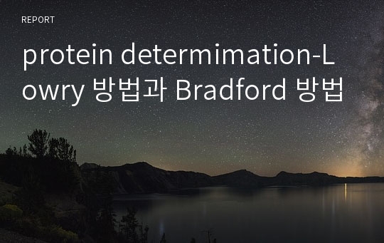 protein determimation-Lowry 방법과 Bradford 방법