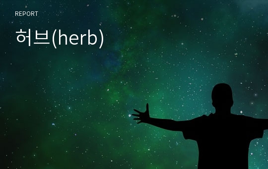 허브(herb)