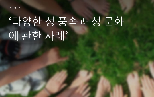 ‘다양한 성 풍속과 성 문화에 관한 사례’