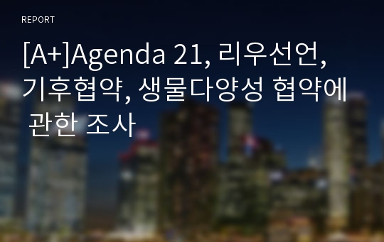 [A+]Agenda 21, 리우선언, 기후협약, 생물다양성 협약에 관한 조사