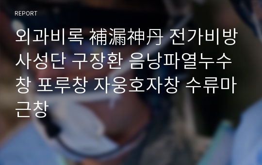 외과비록 補漏神丹 전가비방 사성단 구장환 음낭파열누수창 포루창 자웅호자창 수류마근창