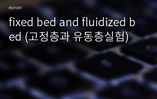 fixed bed and fluidized bed (고정층과 유동층실험)