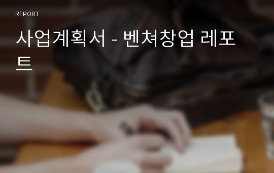 사업계획서 - 벤쳐창업 레포트