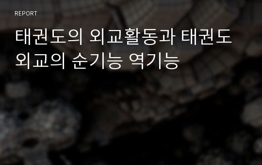 태권도의 외교활동과 태권도 외교의 순기능 역기능