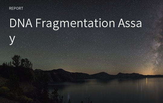 DNA Fragmentation Assay