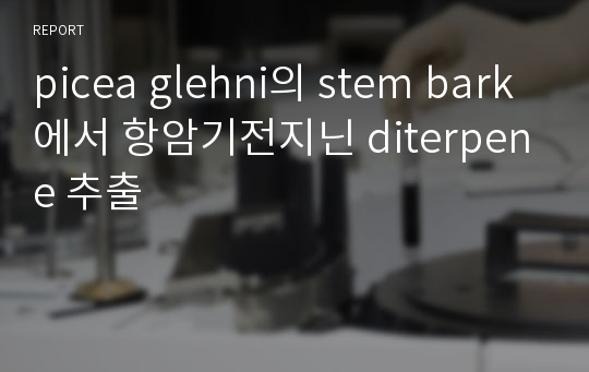 picea glehni의 stem bark에서 항암기전지닌 diterpene 추출