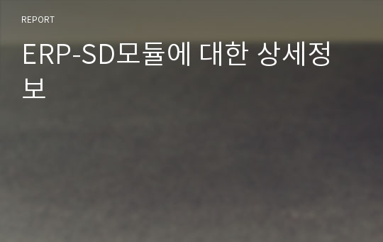 ERP-SD모듈에 대한 상세정보