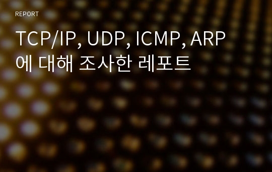 TCP/IP, UDP, ICMP, ARP에 대해 조사한 레포트