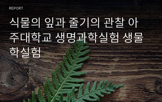 식물의 잎과 줄기의 관찰 아주대학교 생명과학실험 생물학실험