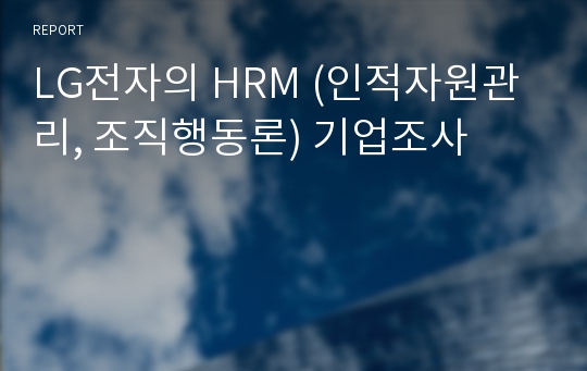 LG전자의 HRM (인적자원관리, 조직행동론) 기업조사