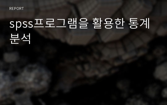 spss프로그램을 활용한 통계분석