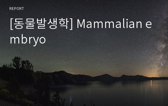 [동물발생학] Mammalian embryo