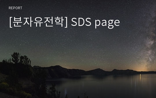 [분자유전학] SDS page
