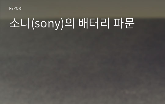 소니(sony)의 배터리 파문