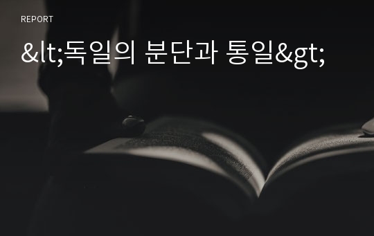 &lt;독일의 분단과 통일&gt;