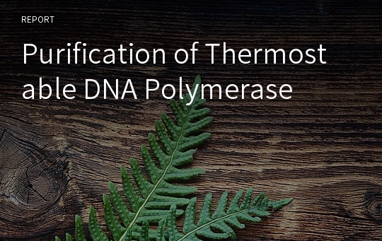 Purification of Thermostable DNA Polymerase