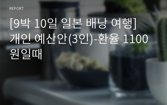 [9박 10일 일본 배낭 여행] 개인 예산안(3인)-환율 1100원일때