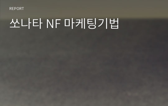 쏘나타 NF 마케팅기법