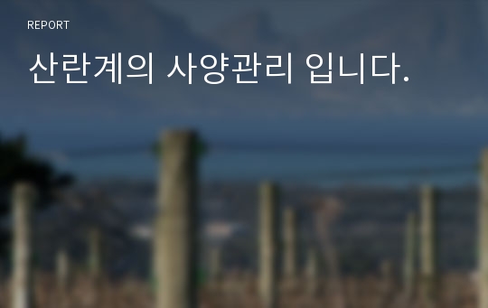 산란계의 사양관리 입니다.