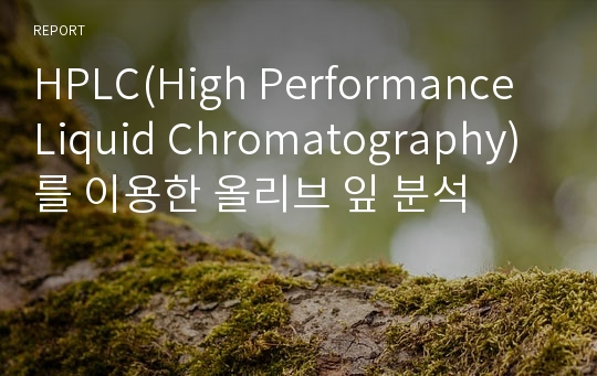 HPLC(High Performance Liquid Chromatography)를 이용한 올리브 잎 분석