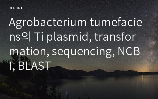 Agrobacterium tumefaciens의 Ti plasmid, transformation, sequencing, NCBI, BLAST