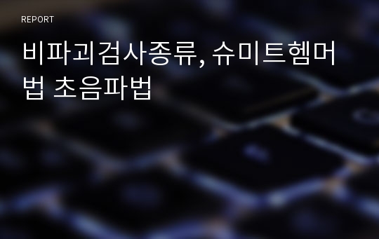 비파괴검사종류, 슈미트헴머법 초음파법