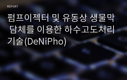 펌프이젝터 및 유동상 생물막 담체를 이용한 하수고도처리기술(DeNiPho)