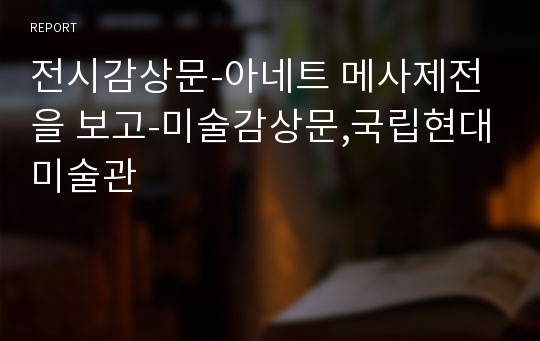 전시감상문-아네트 메사제전을 보고-미술감상문,국립현대미술관