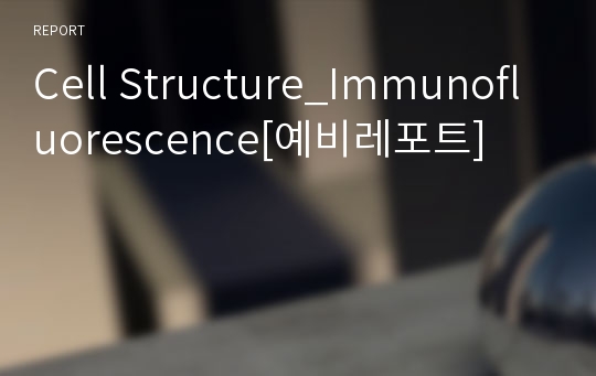 Cell Structure_Immunofluorescence[예비레포트]