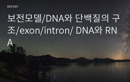 보전모델/DNA와 단백질의 구조/exon/intron/ DNA와 RNA