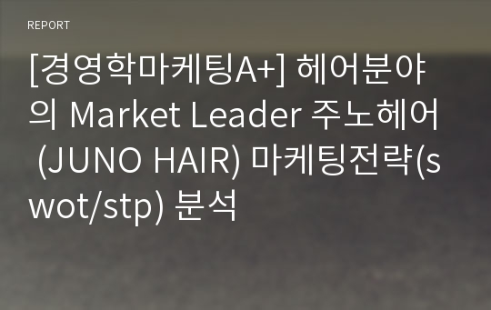 [경영학마케팅A+] 헤어분야의 Market Leader 주노헤어 (JUNO HAIR) 마케팅전략(swot/stp) 분석