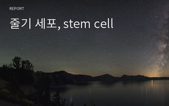 줄기 세포, stem cell