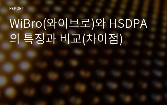 WiBro(와이브로)와 HSDPA의 특징과 비교(차이점)