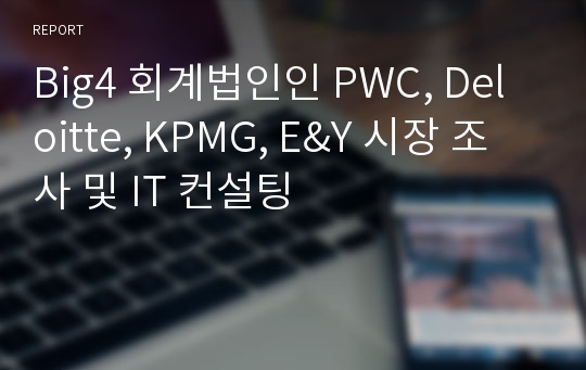 Big4 회계법인인 PWC, Deloitte, KPMG, E&amp;Y 시장 조사 및 IT 컨설팅