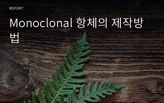 Monoclonal 항체의 제작방법