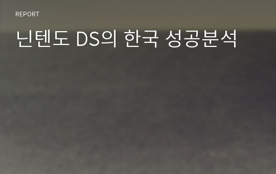 닌텐도 DS의 한국 성공분석