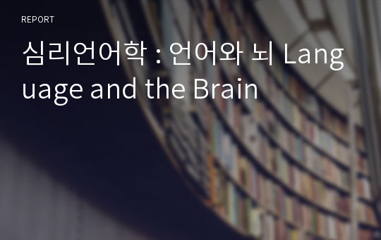 심리언어학 : 언어와 뇌 Language and the Brain