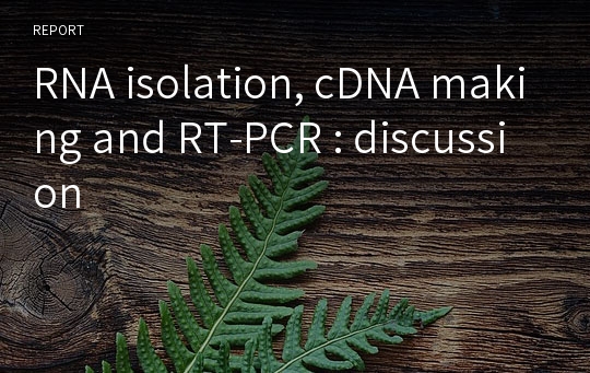 RNA isolation, cDNA making and RT-PCR : discussion