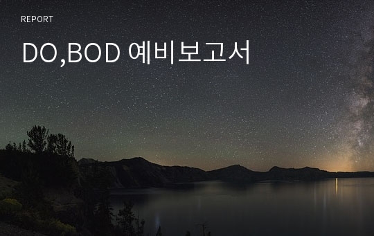 DO,BOD 예비보고서